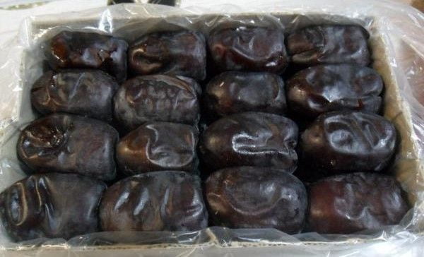 تصویر 4 از خرید خرما مضافتی جهرم + قیمت فروش استثنایی